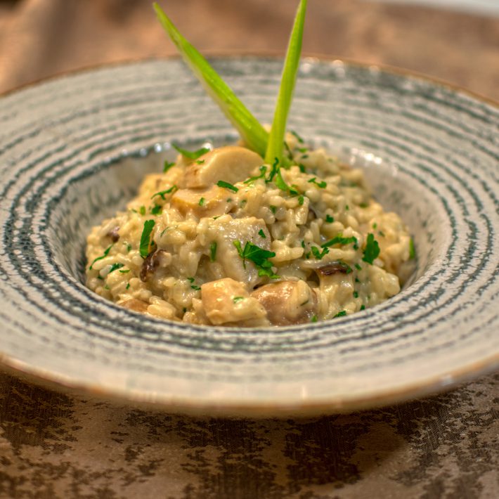 pexels-cristian-mihaila-14537683